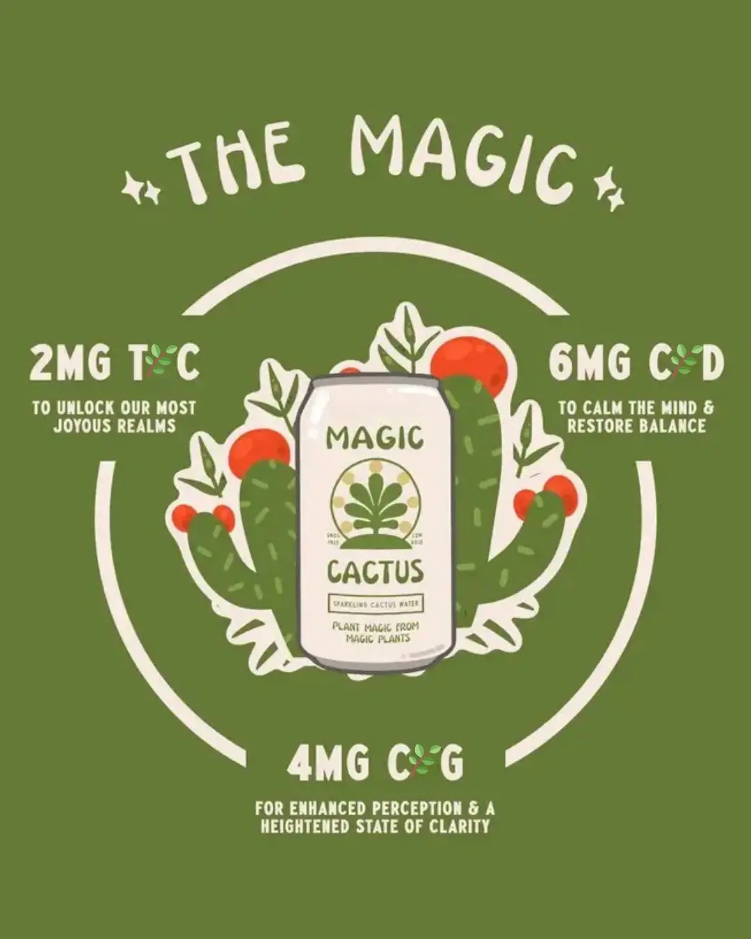 Watermelon Hibiscus Magic Cactus Drink