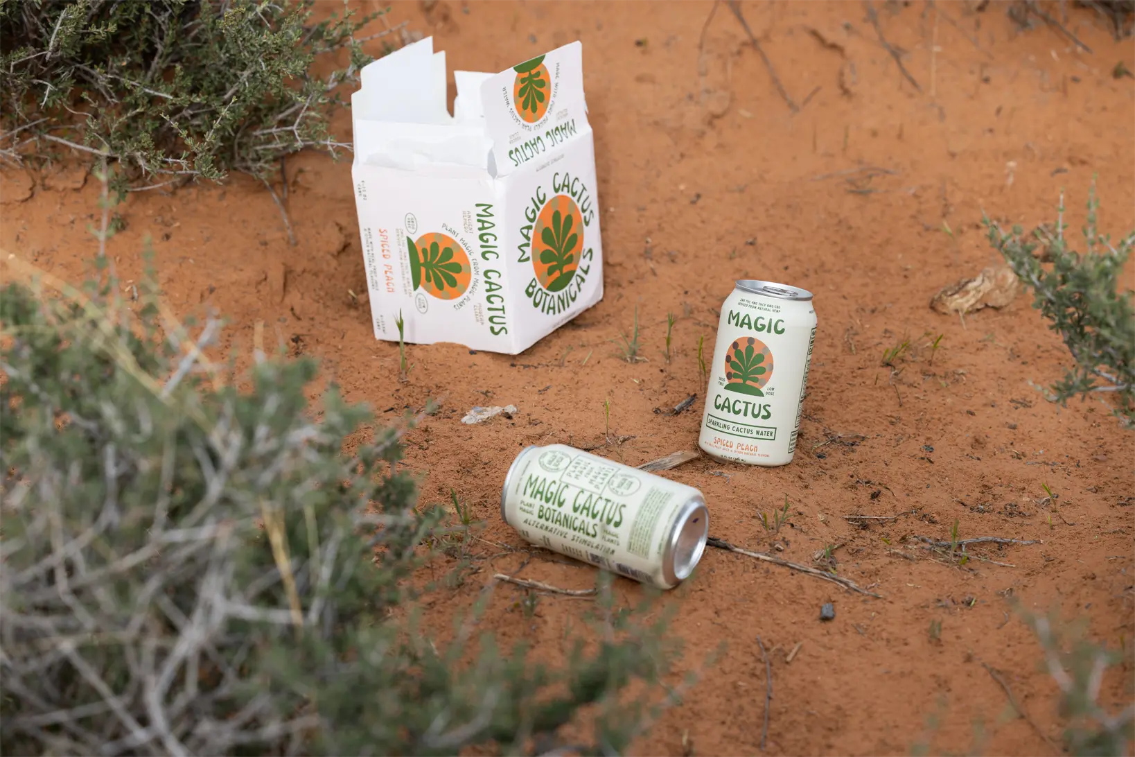 Spiced Peach Magic Cactus Drink