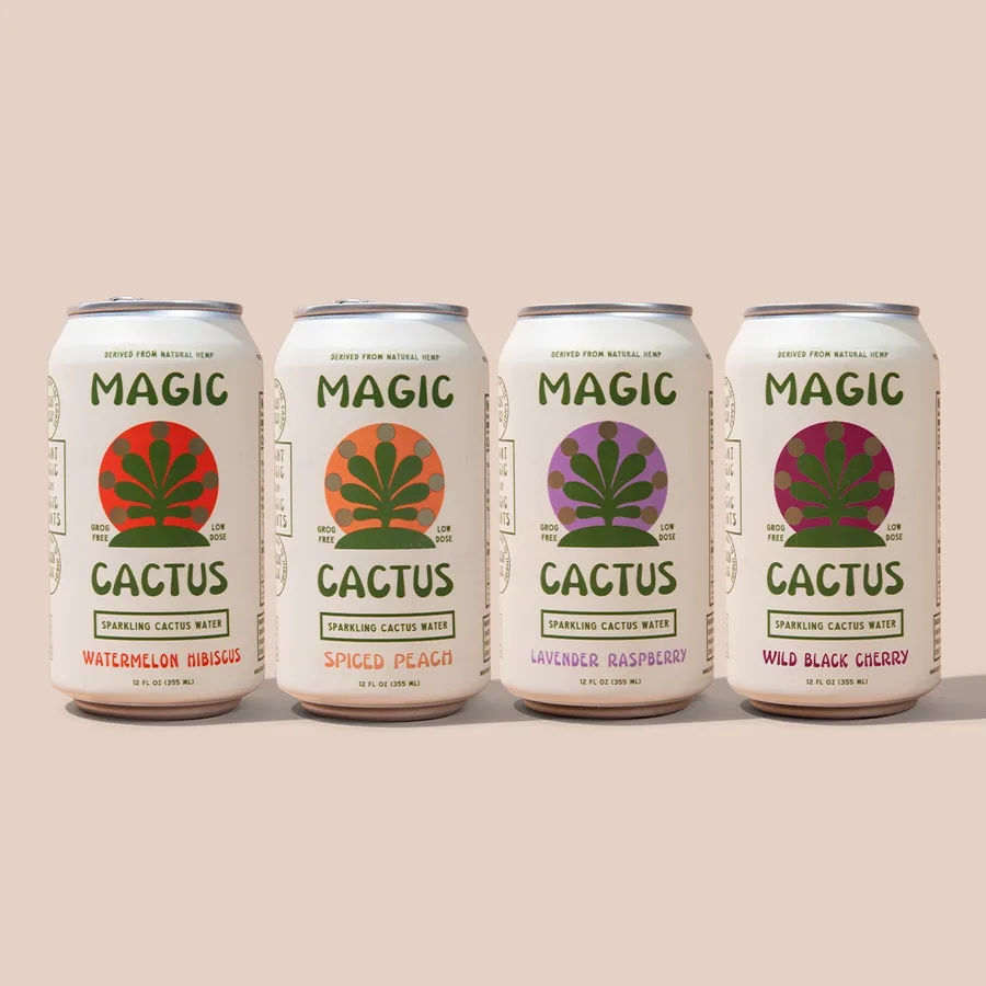 Magic Cactus variety pack — Lavender Raspberry, Watermelon Hibiscus, Spiced Peach and Wild Black Cherry